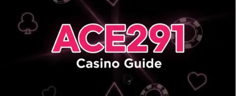 ace291