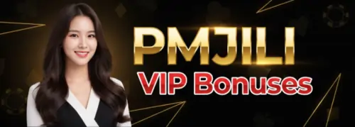 pmjili vip bonuses