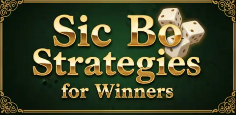 sic bo strategies for winners